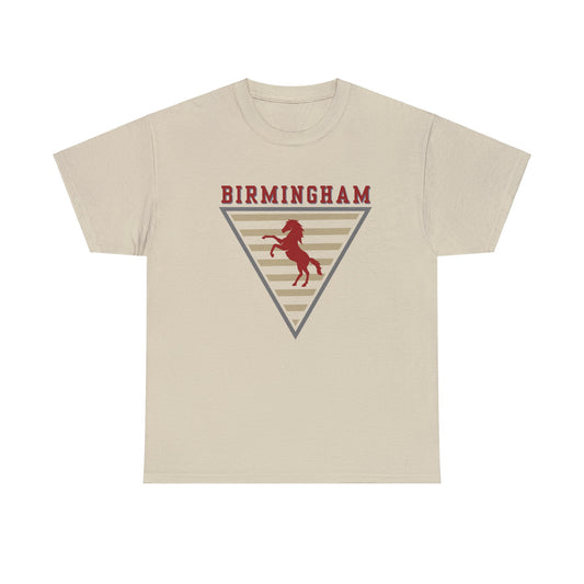Vintage UFL Birmingham Stallions Unisex T-Shirt | XFL | Spring Football | Retro | Throwback