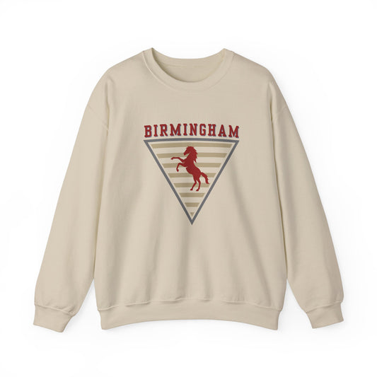 Vintage UFL Birmingham Stallions Sweatshirt | Spring Football | XFL | STL  | Throwback | Retro